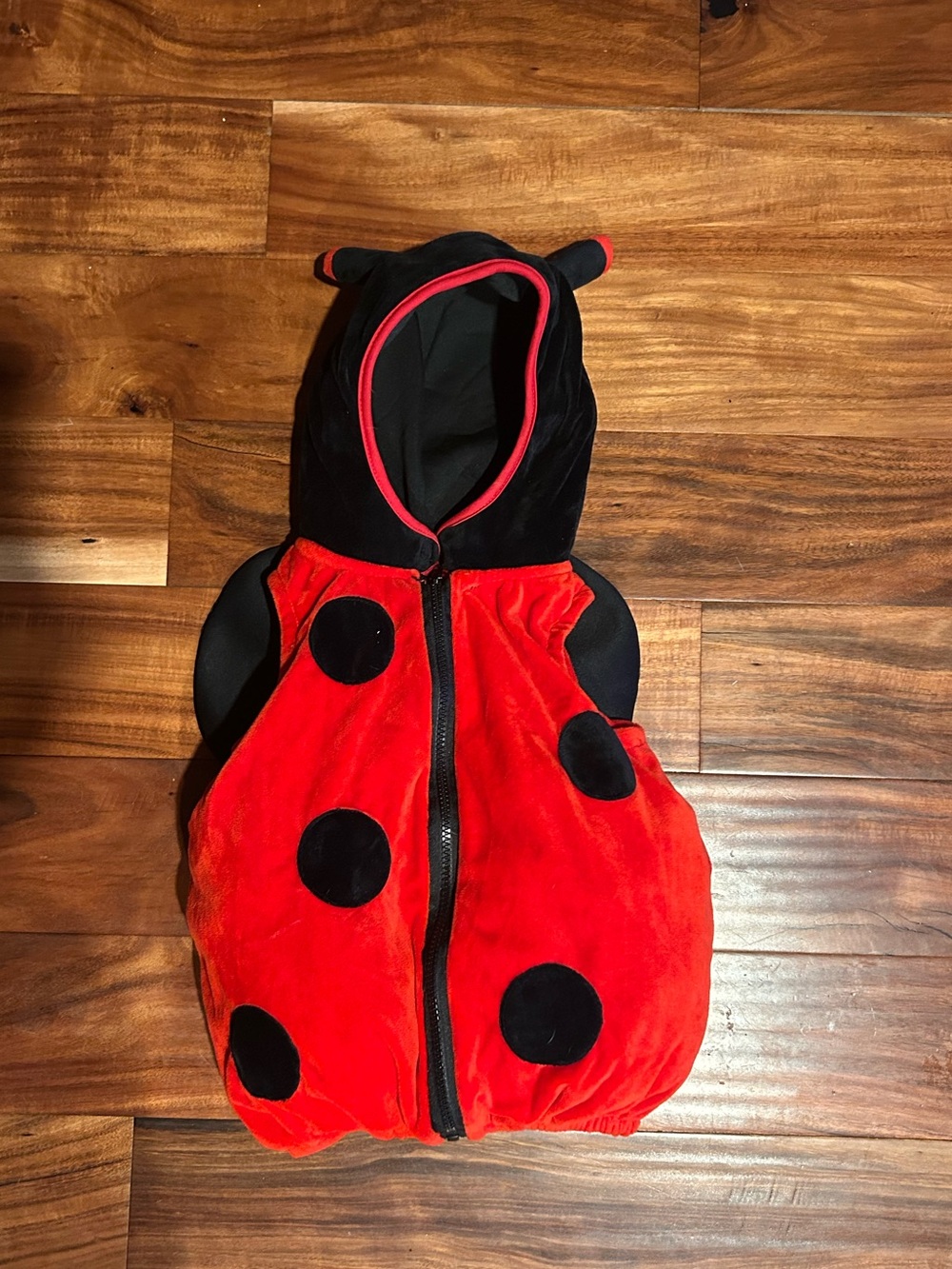 Kids Ladybug Costume - size 24m